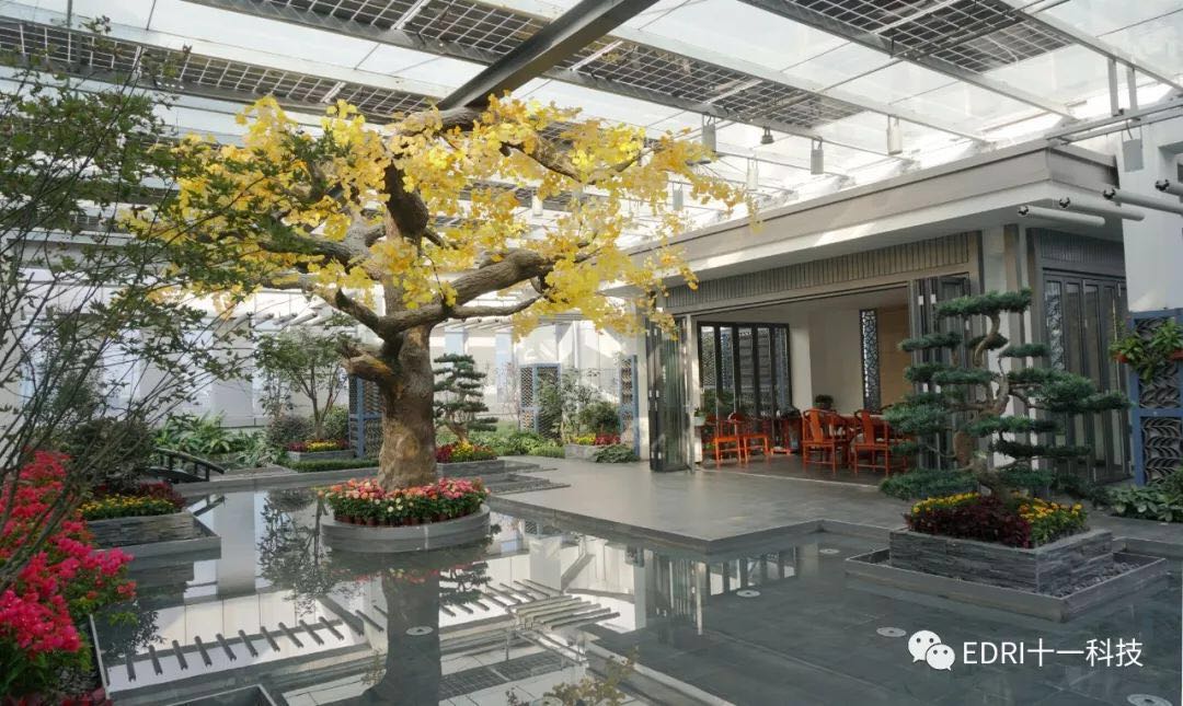 1538272376618622.jpg 4.jpg