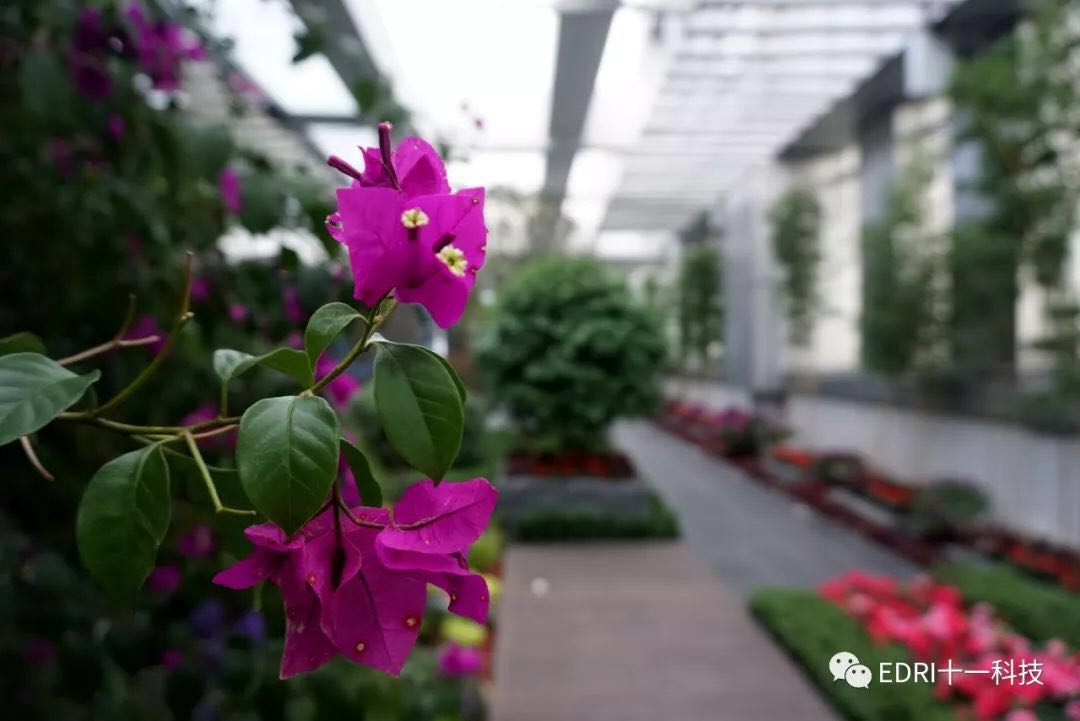 1538272390271999.jpg 5.jpg