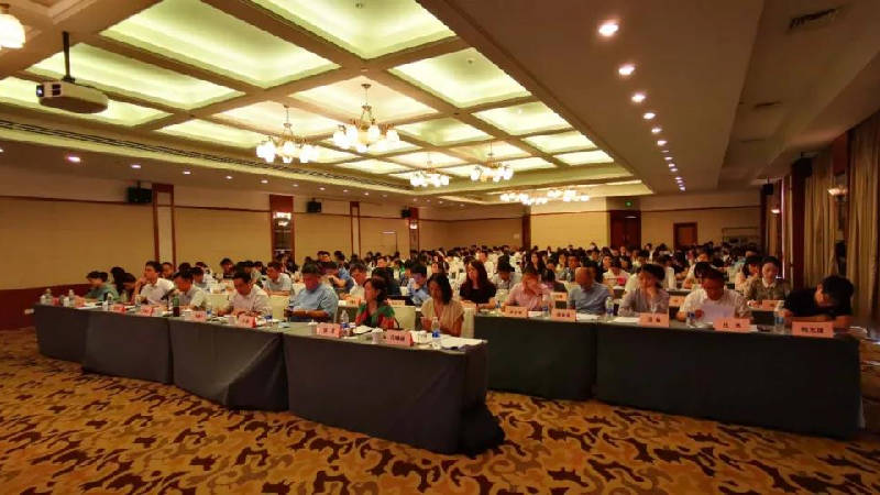 1599447275903504.jpg 1.jpg